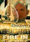 Discovery. Сейчас рванет 1 сезон