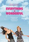 Everything Is Wonderful