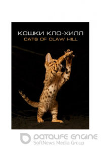 Кошки Кло-Хилл 1 сезон