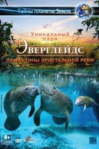 Эверглейдс 3D: Ламантины Кристальной реки