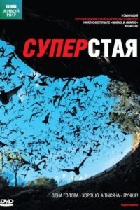 BBC: Суперстая 1 сезон