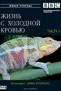 BBC: Жизнь с холодной кровью 1 сезон